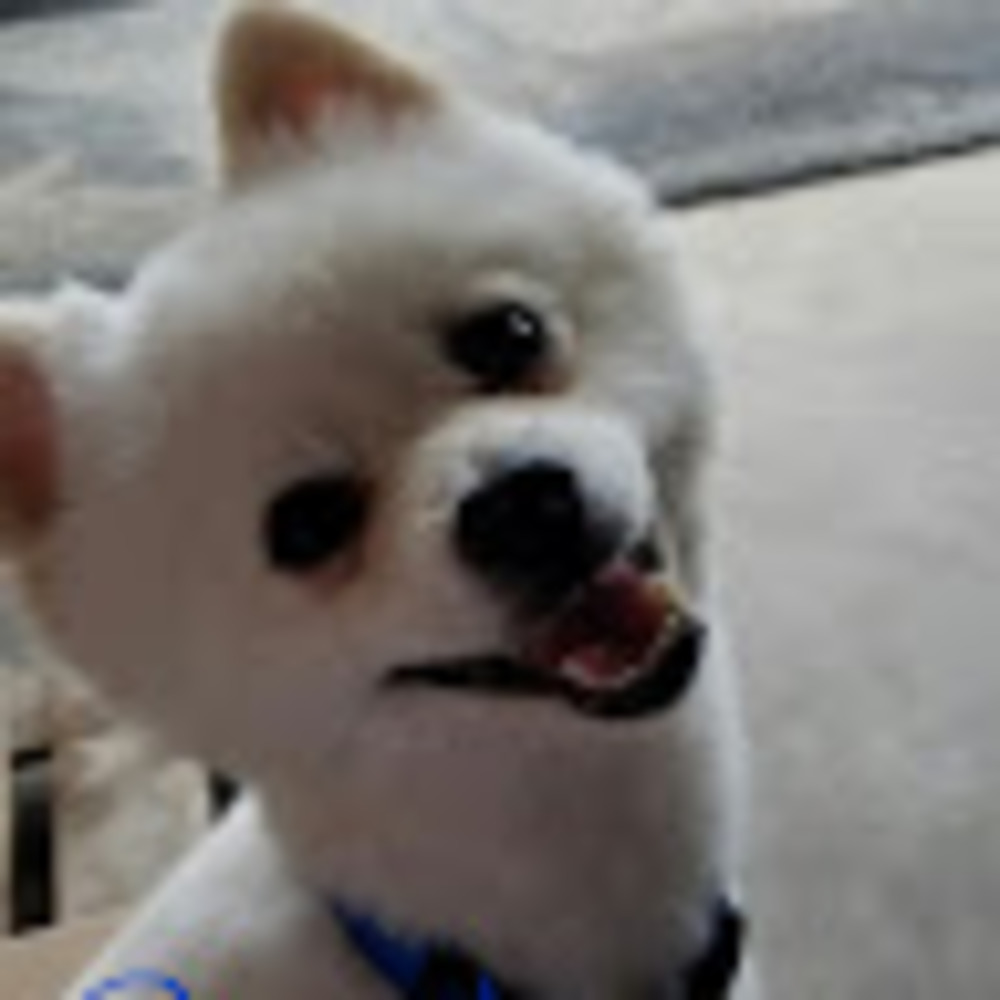 Meet your Posher, Debra